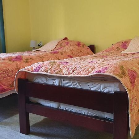 Apartment Roxana Centar Nowy Sad Zewnętrze zdjęcie