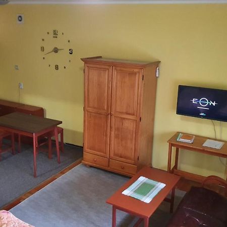 Apartment Roxana Centar Nowy Sad Zewnętrze zdjęcie