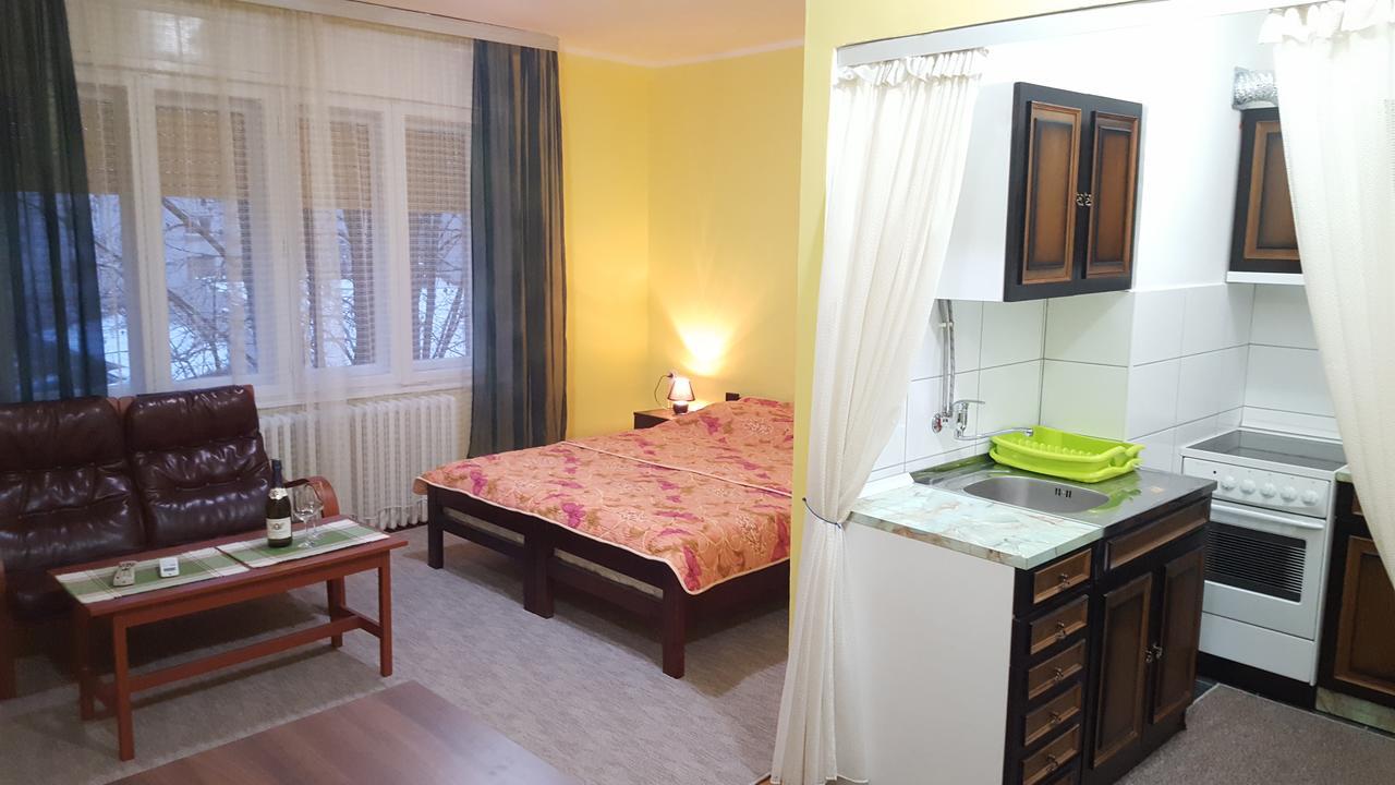 Apartment Roxana Centar Nowy Sad Zewnętrze zdjęcie