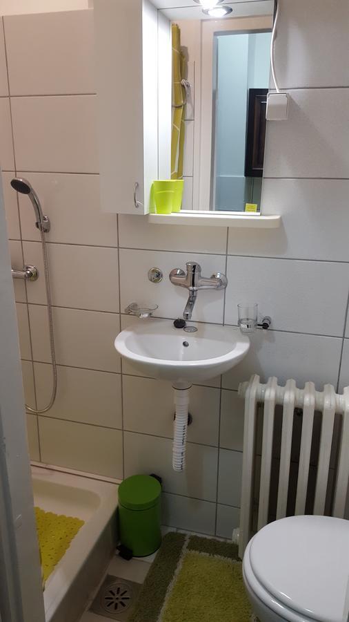 Apartment Roxana Centar Nowy Sad Zewnętrze zdjęcie